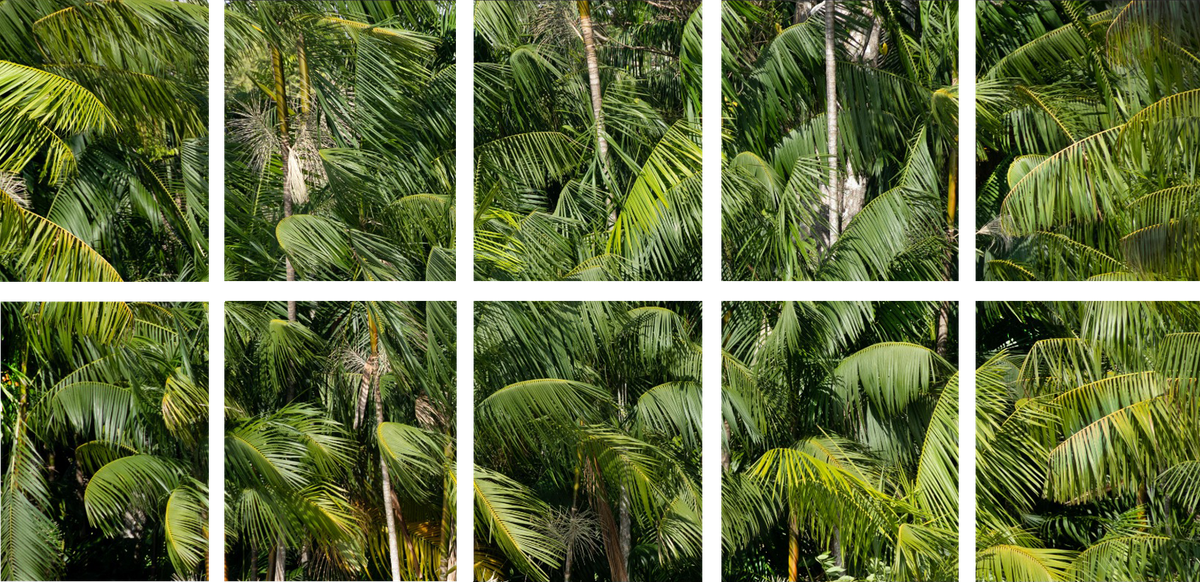 Alessandra Rehder, “Amazônia” (Amazon, 2024), Andrea Rehder Arte Contemporânea. Galeri, sanat çalışmalarının “sürdürülebilirlik, geleneksel kültürler ve botanik temalarını” incelediğini açıklıyor.
“AMAZÔNIA”: © ALESSANDRA REHDER, ANDREA REHDER ARTE CONTEMPORÂNEA