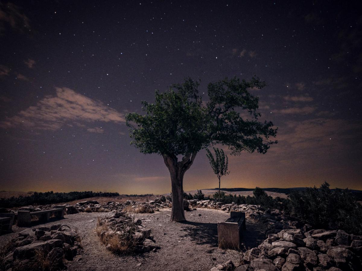 Sessiz Gözcüler sergisinden.

Fotoğraf: Mehmet Turgut