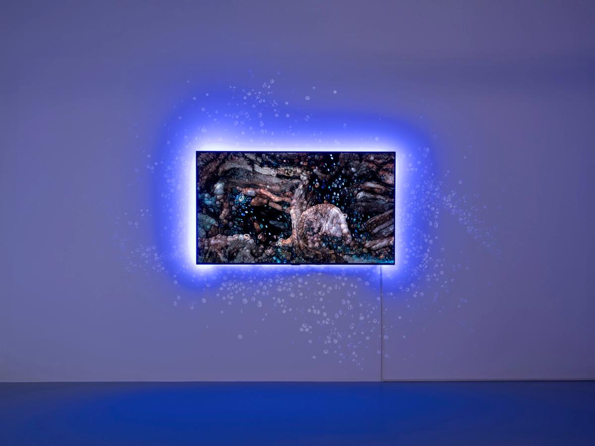 Fotoğraf: Kayhan Kaygusuz