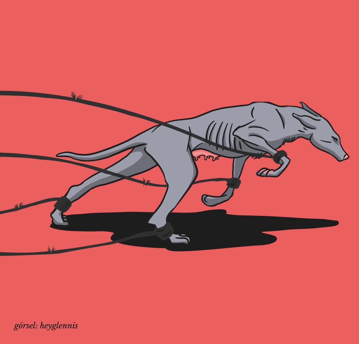 Fotoğraf: heyglennis