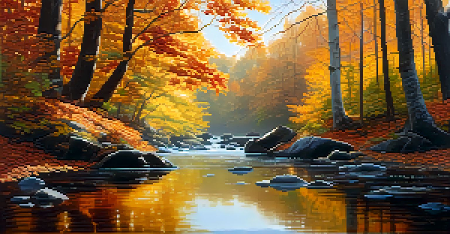 A clear river surrounded by colorful autumn trees, reflecting the sunlight and fallen leaves.