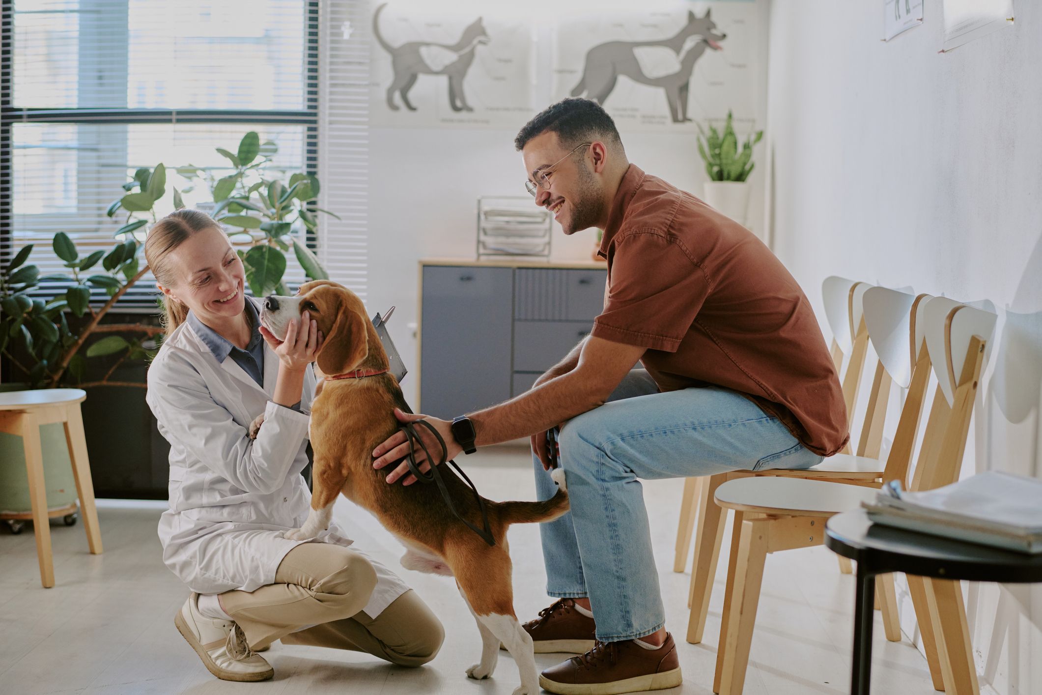 Veterinary Practices Are Adapting to a High-Pressure Environment