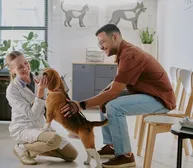 Veterinary Practices Are Adapting to a High-Pressure Environment
