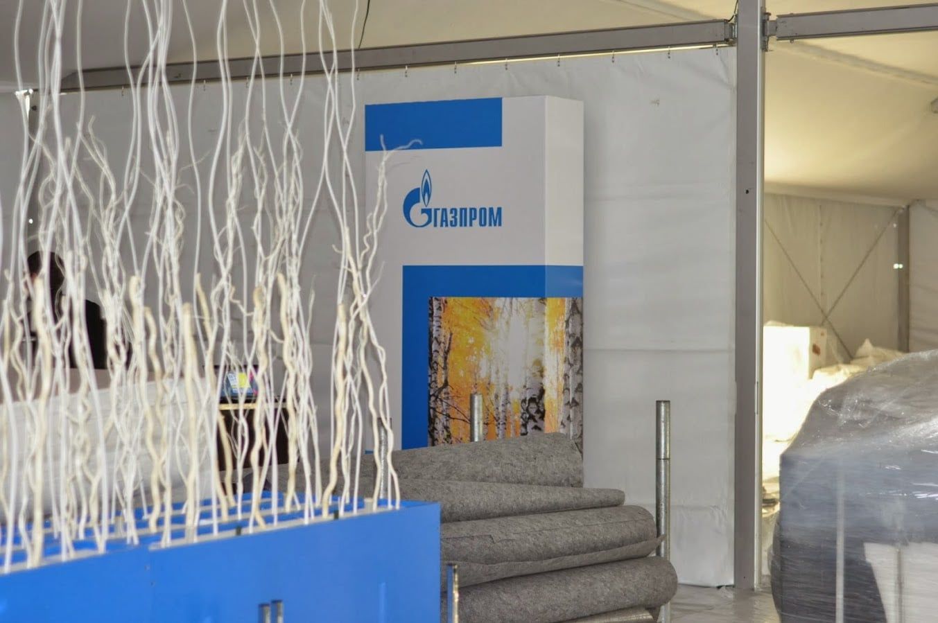 ПХГ Романово, Калининград — фото 3