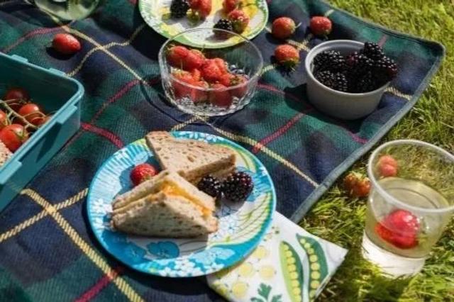 On the Go Dinner Ideas for Busy Families