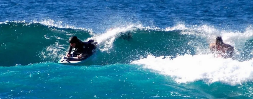 Meet Team Surfgimp