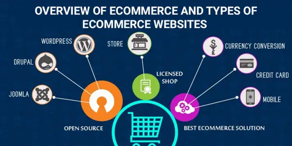 When to Switch from WhatsApp to an Independent E-Commerce?