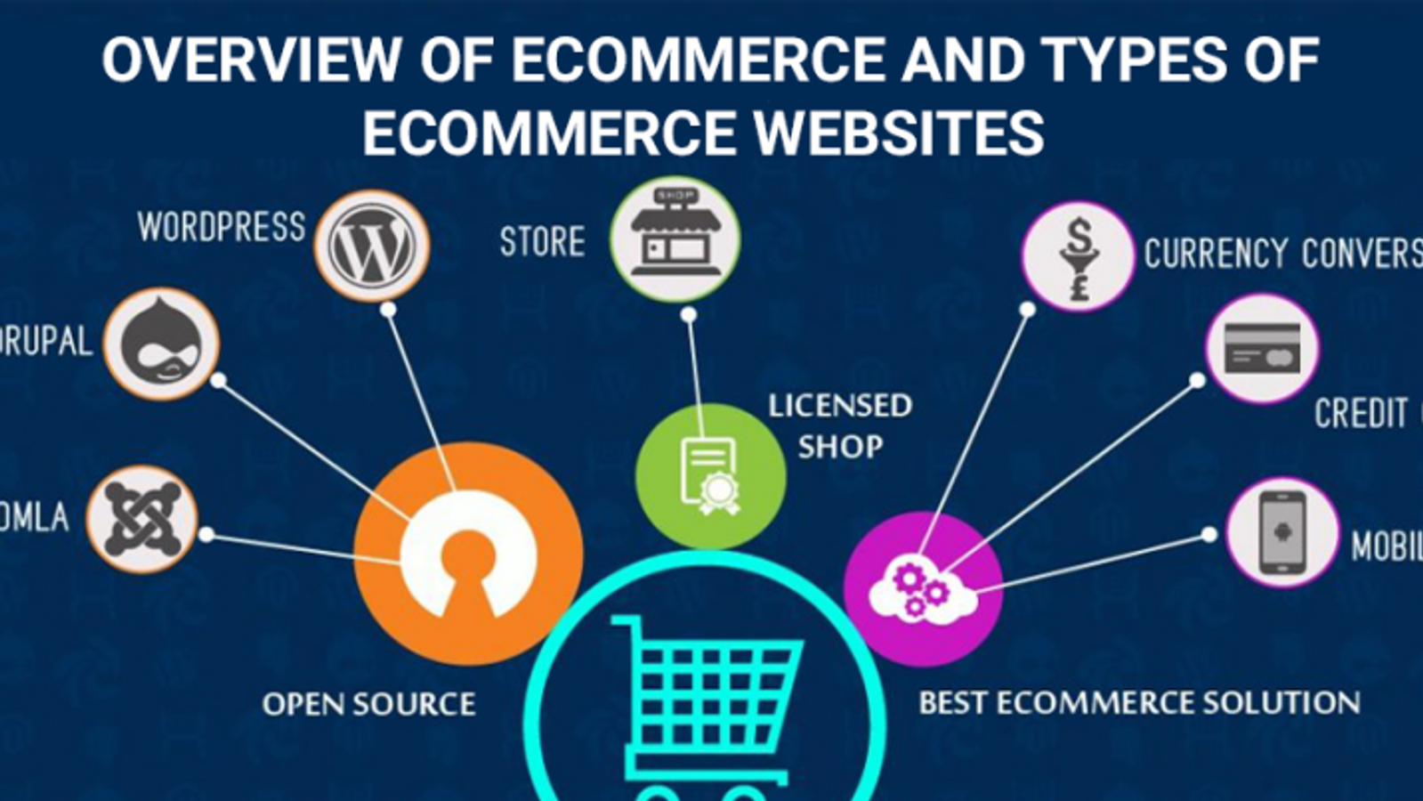 Kapan Bisnis Harus Beralih dari WhatsApp ke E-Commerce Mandiri?