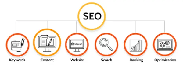 SEO-Friendly E-Commerce Website Structure for Organic Traffic