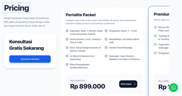 Professional Website Development Cost & ROI