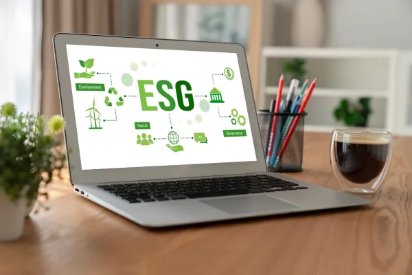 Sustainable Web Design 2026: Code Efficiency & Branding