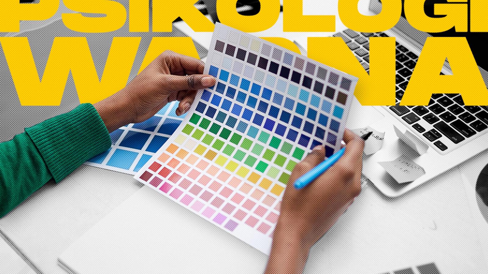 Color Psychology & Web Layout: B2B Conversion Secrets