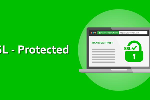 The Dangers of Websites Without Security Audits: SSL Alone is Not Enough