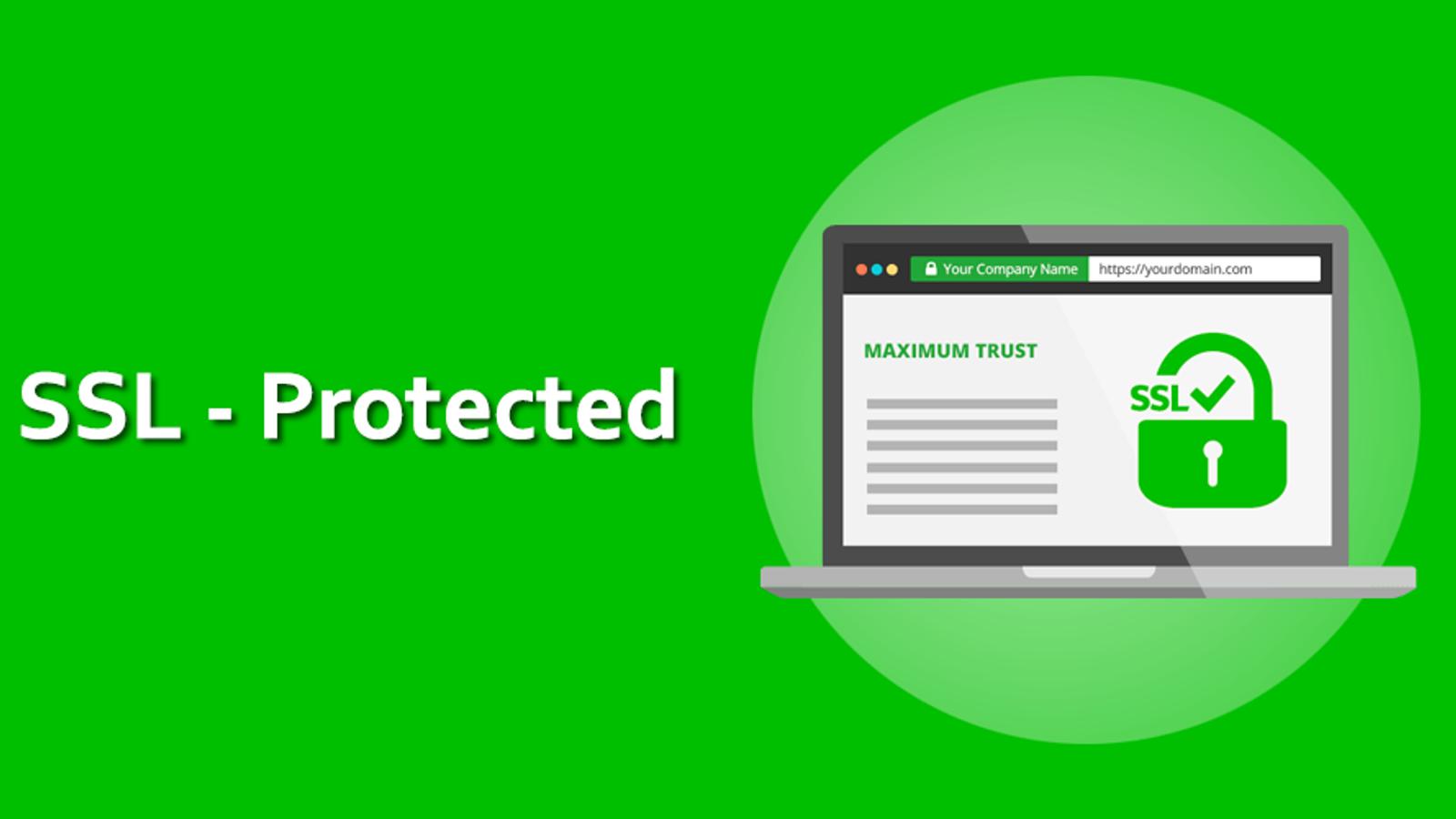 The Dangers of Websites Without Security Audits: SSL Alone is Not Enough