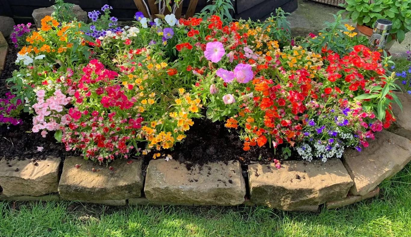 A bed of colourful flowers, taking advantage of Puckamuck.