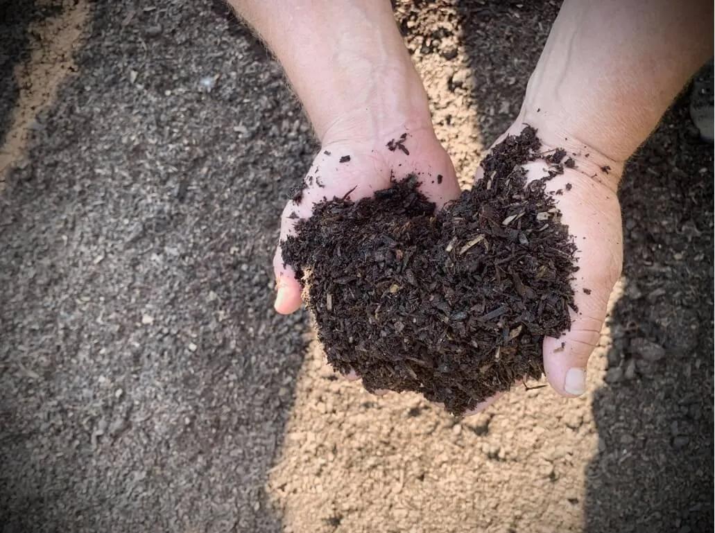 Manure and soil being shown in hands.