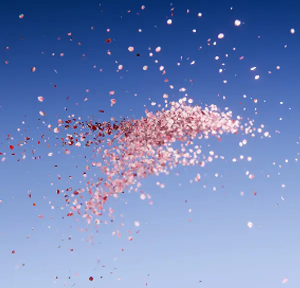 3D render of cherry blossoms floating through a bright blue sky environment