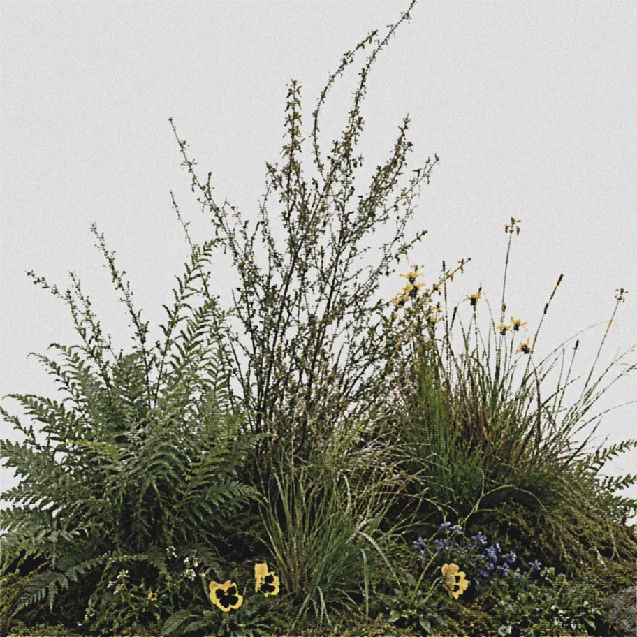 Natural Peak District foliage arranged in a studio environment for the Grit brand project