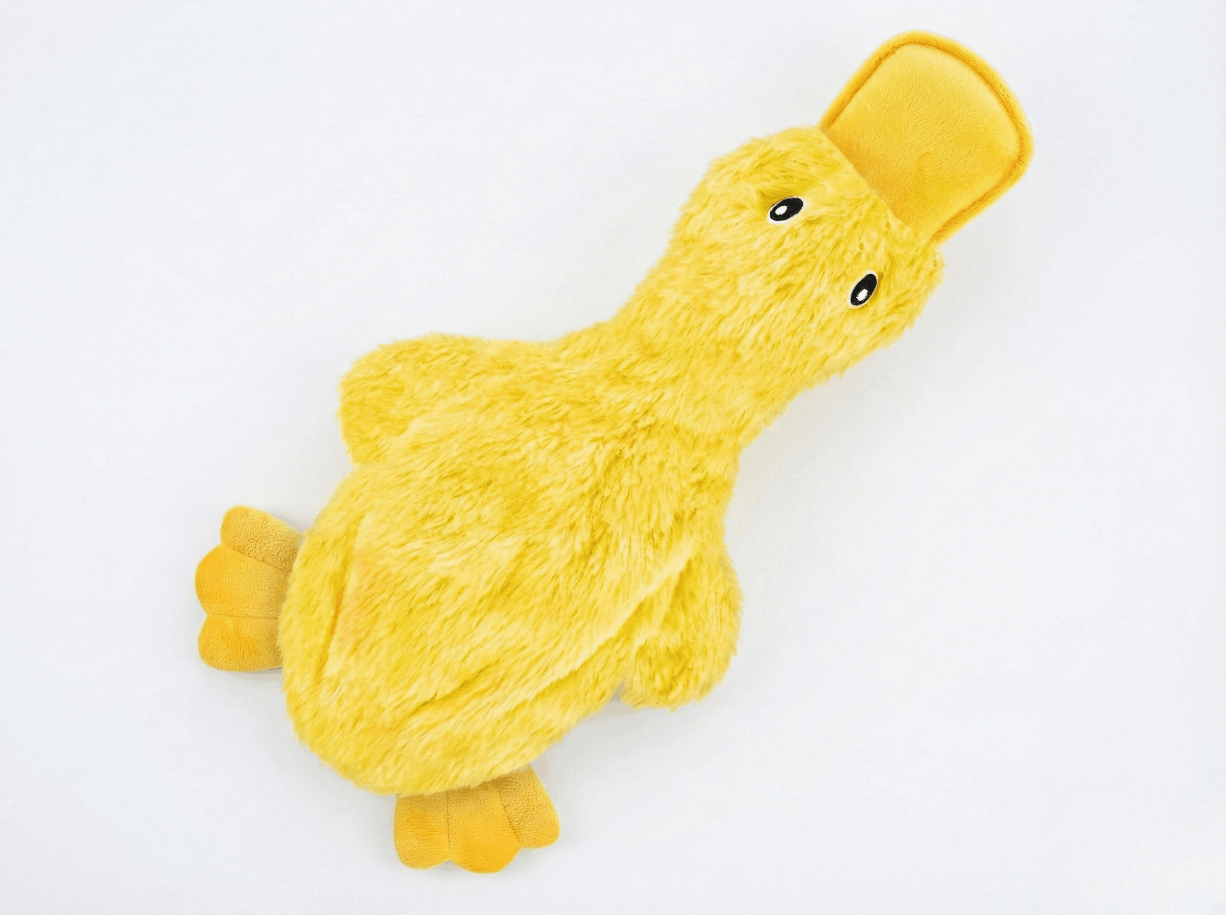 Best Pet Supplies Crinkle Duck