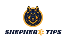 German Shepherd Puppy Price Guide 2025 Cost Breakdown & Tips
