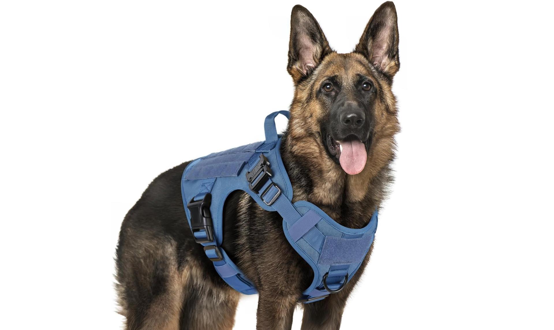 Rabbitgoo Tactical German Shepherd Vest 