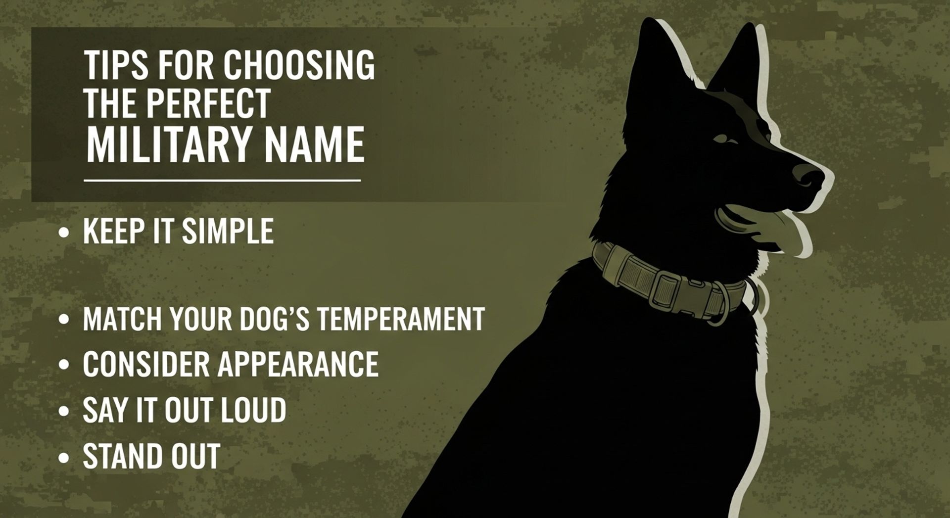 Tips for Choosing the Perfect Military Name