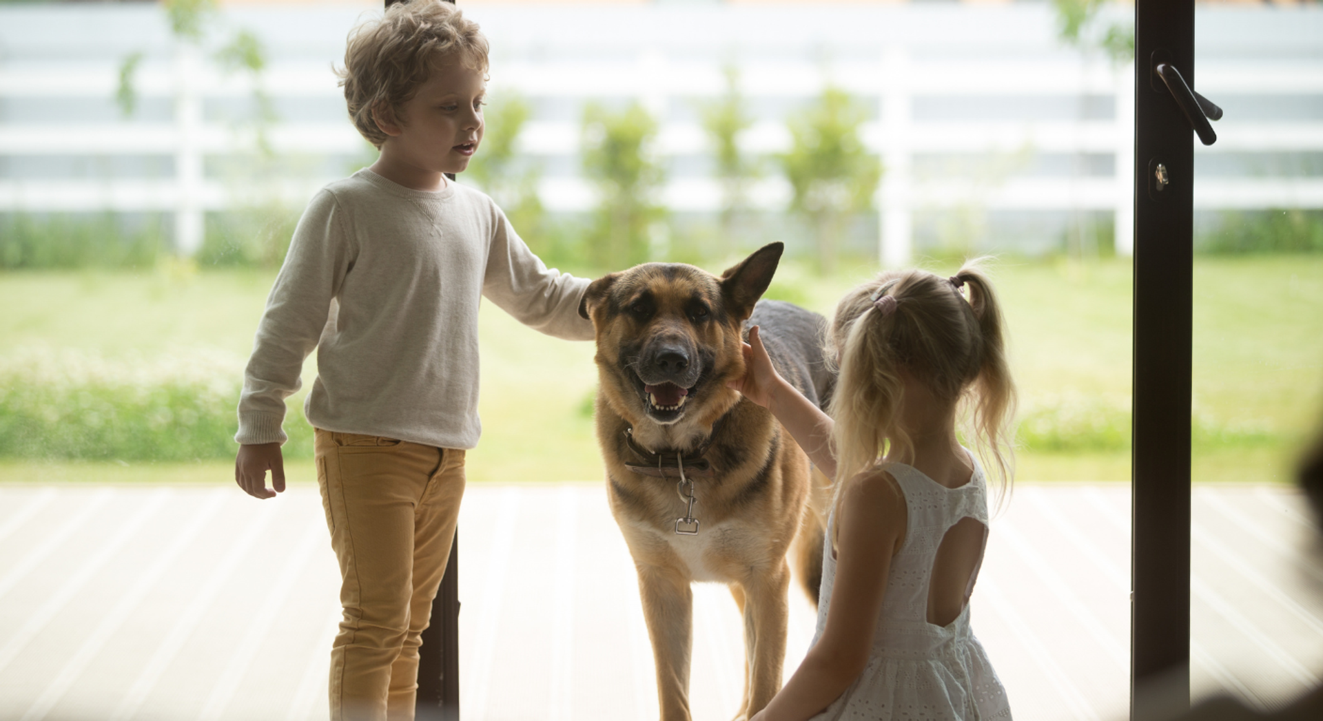 Family-Friendly German Shepherd