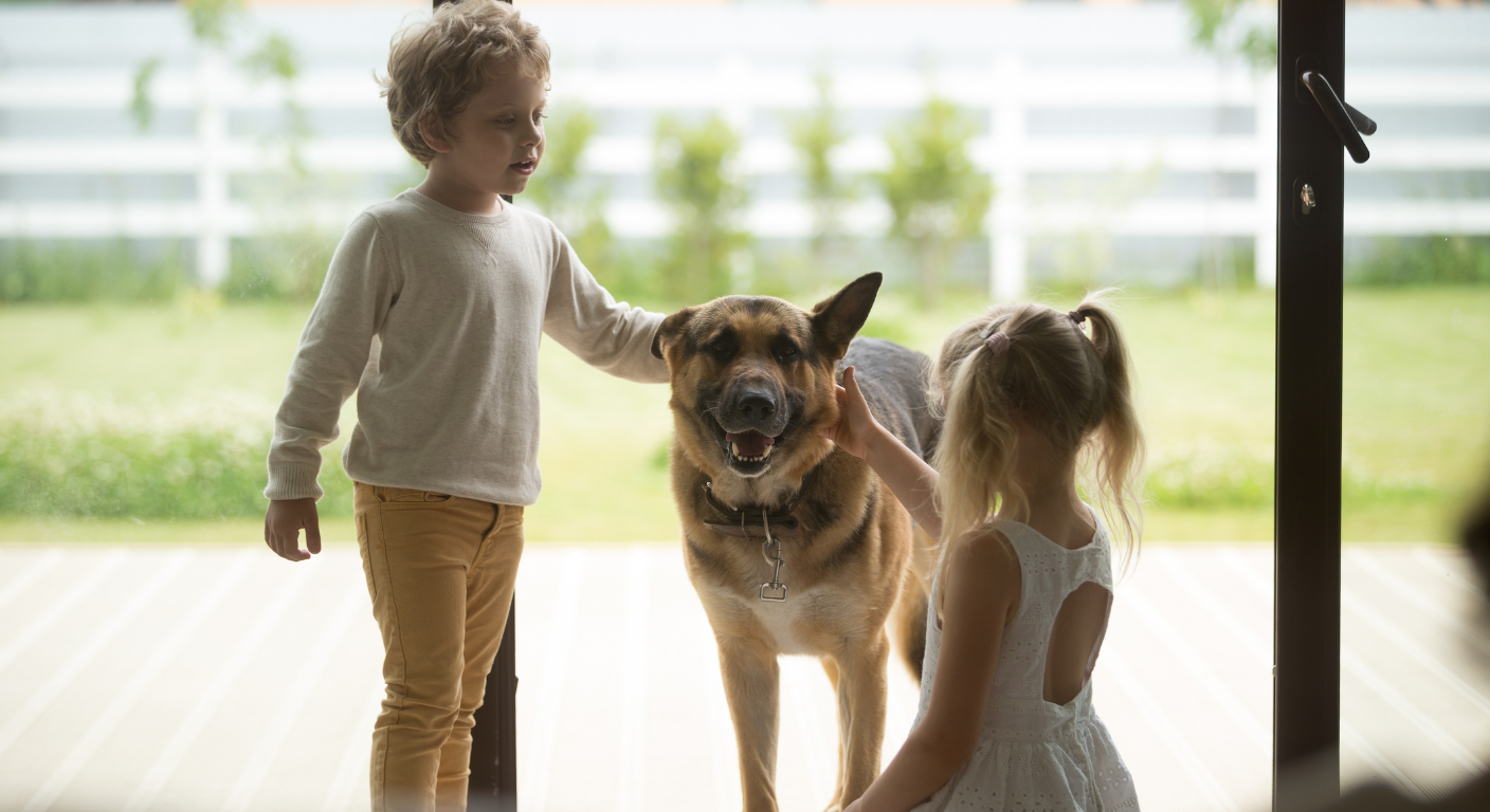 Family-Friendly German Shepherd