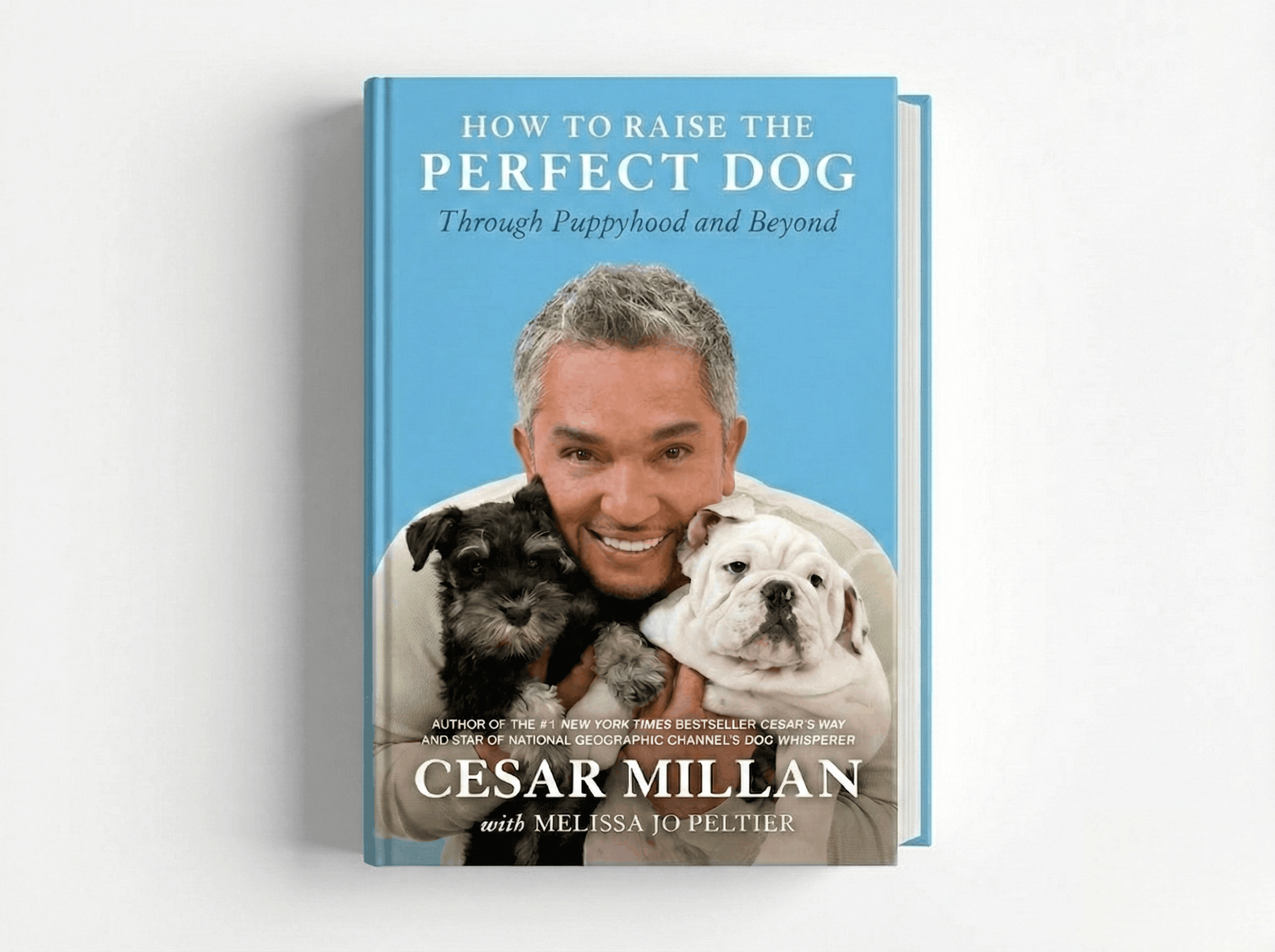 How to Raise the Perfect Dog: Through Puppyhood and Beyond.