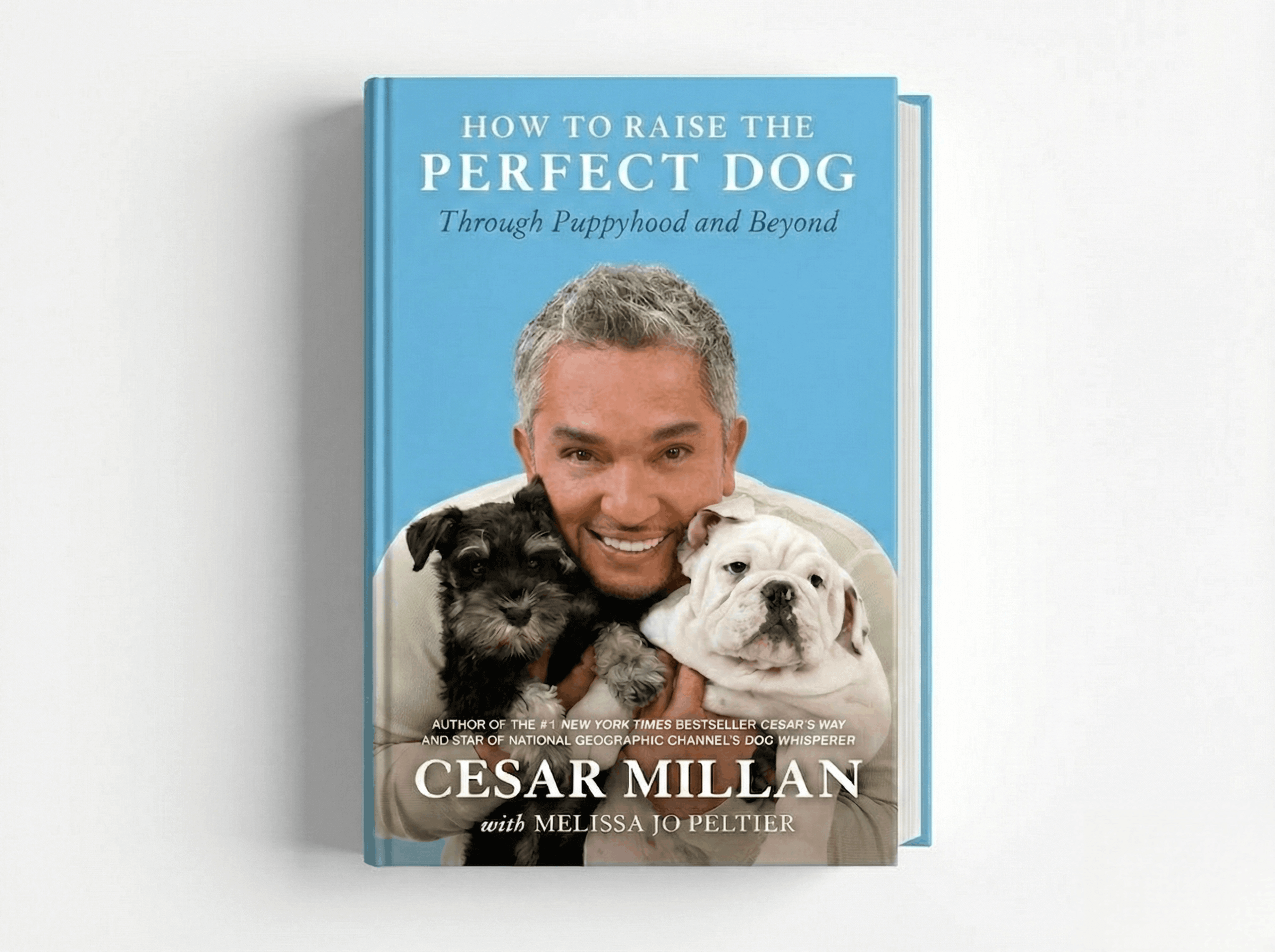 How to Raise the Perfect Dog: Through Puppyhood and Beyond.