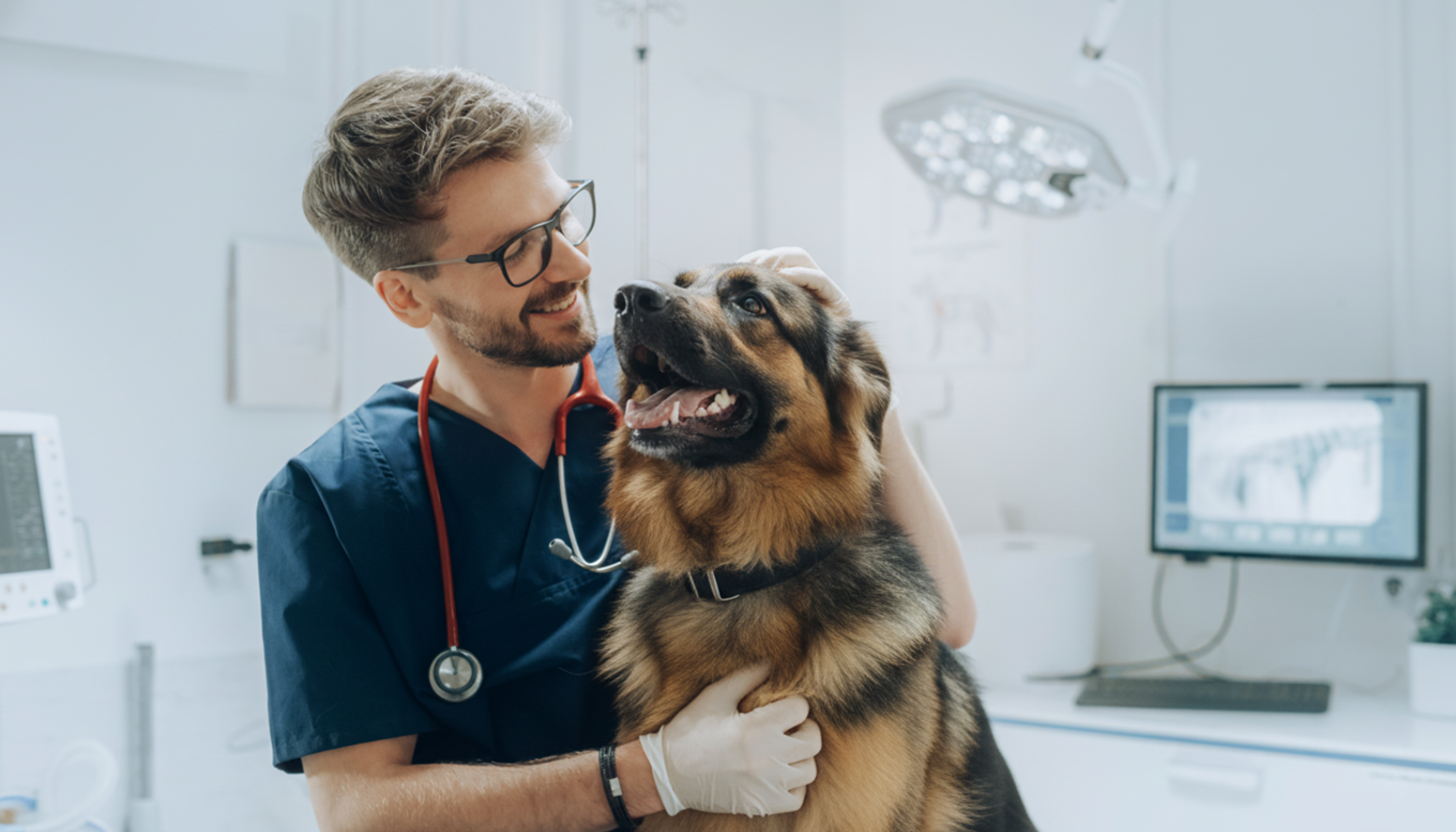 Health & Care