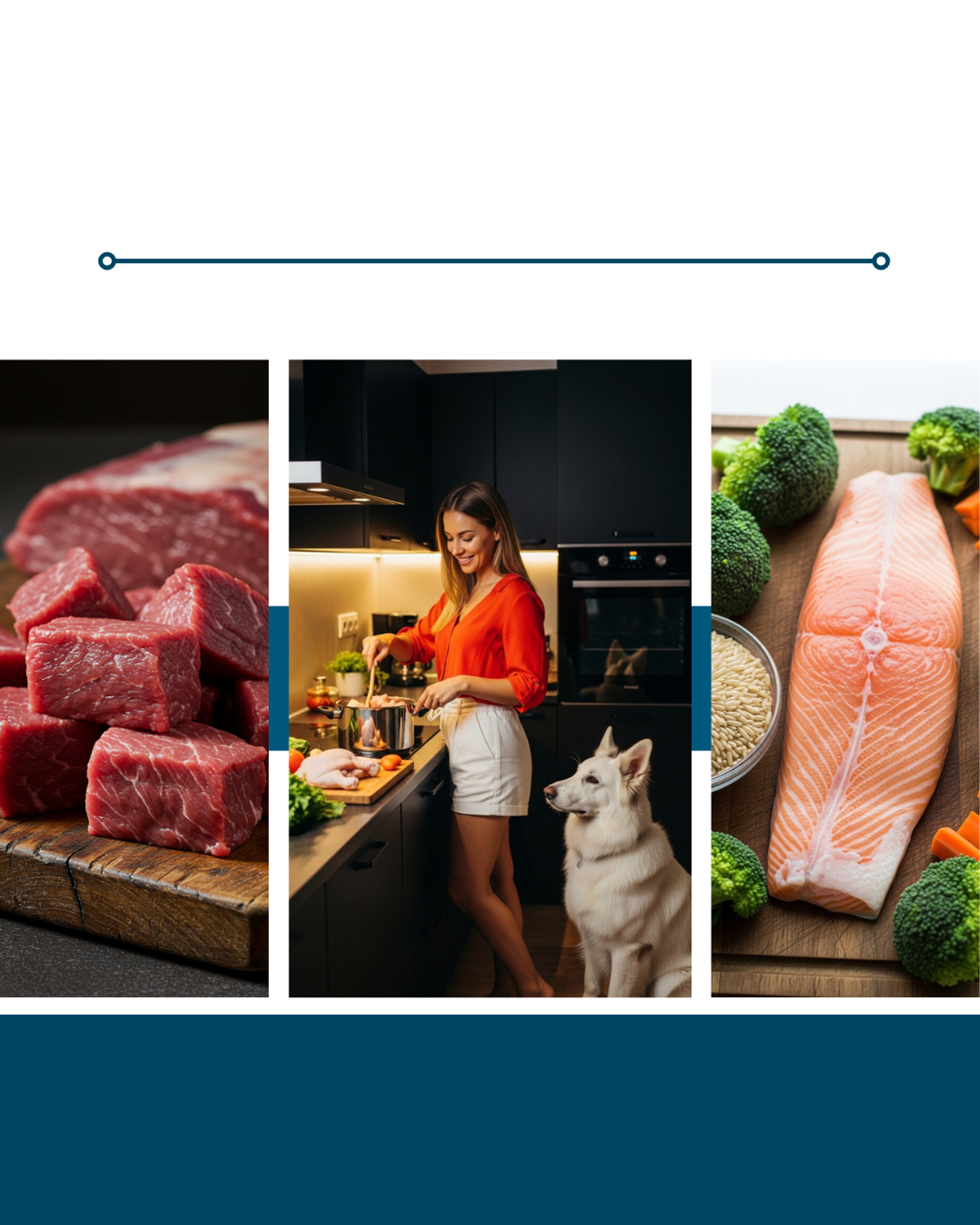 Cover image for ebook showing raw beef cubes, a woman cooking with a German Shepherd, and salmon with vegetables.