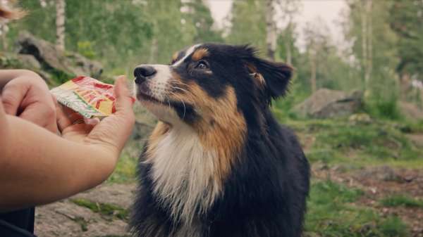 Kvikk Lunsj – Annie
