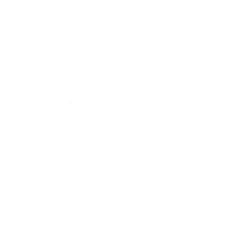 FFI logo