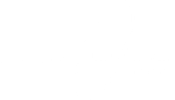 Propulse NTNU logo