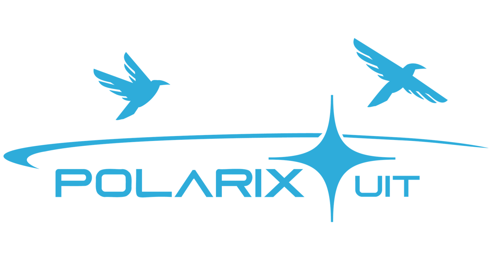 Polarix logo