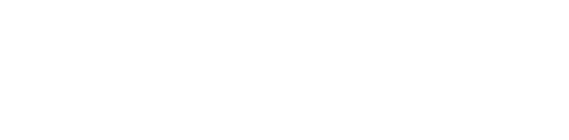 Eidel