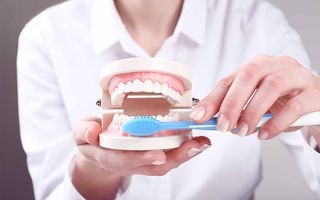 Dentist explaining dental health care with a tooth model and toothbrush