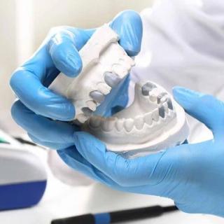 Image of crowns model.