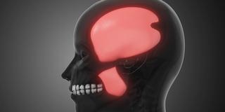 Consequences of Untreated Teeth Grinding