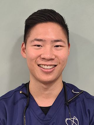 Dr Tony Yang - Dentist