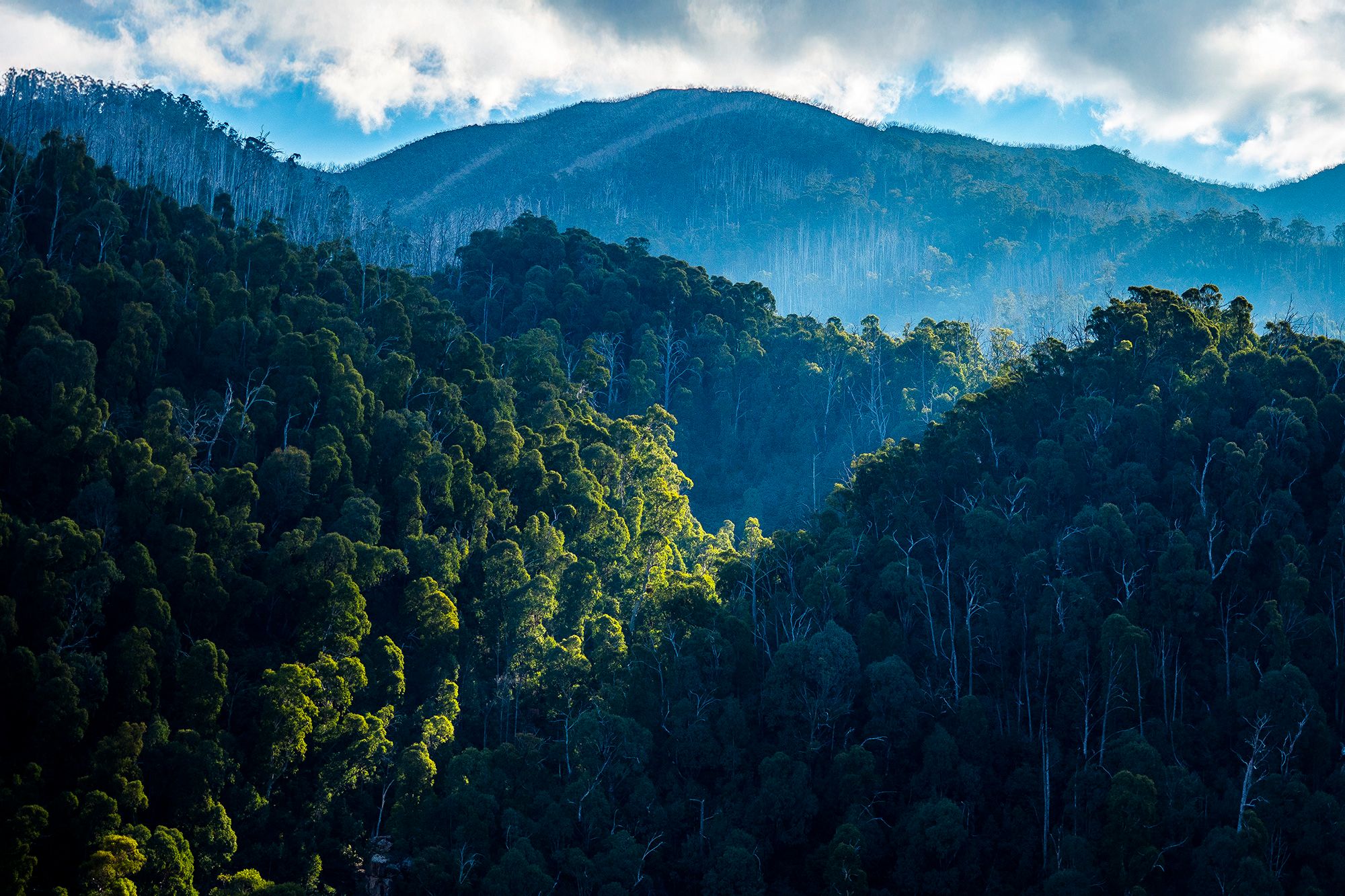 Nature escapes in Victoria
