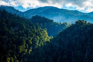Nature escapes in Victoria