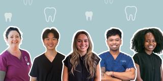 Image of a graphic that has our Kids Dental practitioners here at National Dental Care.