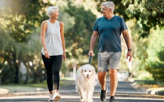 Stock image of a couple exercising together and taking dog for a walk