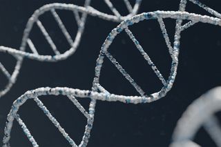 Genetic dispositions