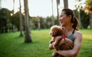 Moonee Ponds Dental Group - Hero