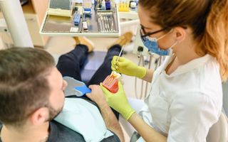 Image of a dentist showing their patient how a root canal is performed.