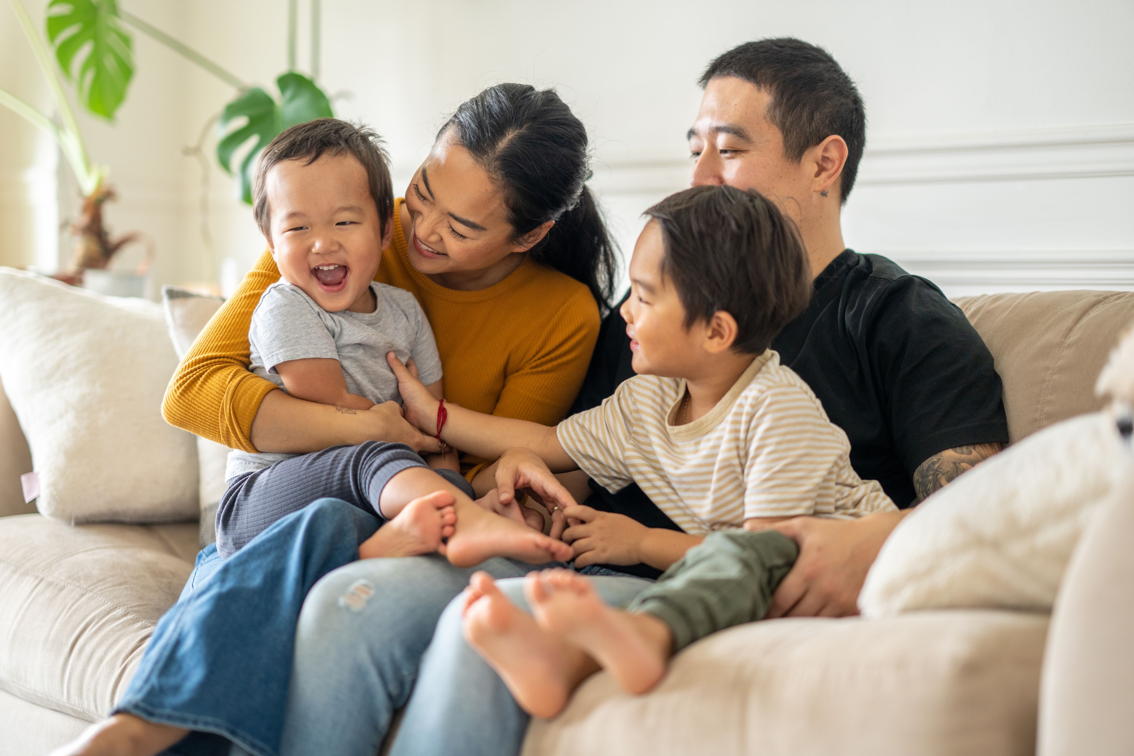 National Dental Care Turramurra