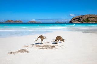 Wild life in Western Australia